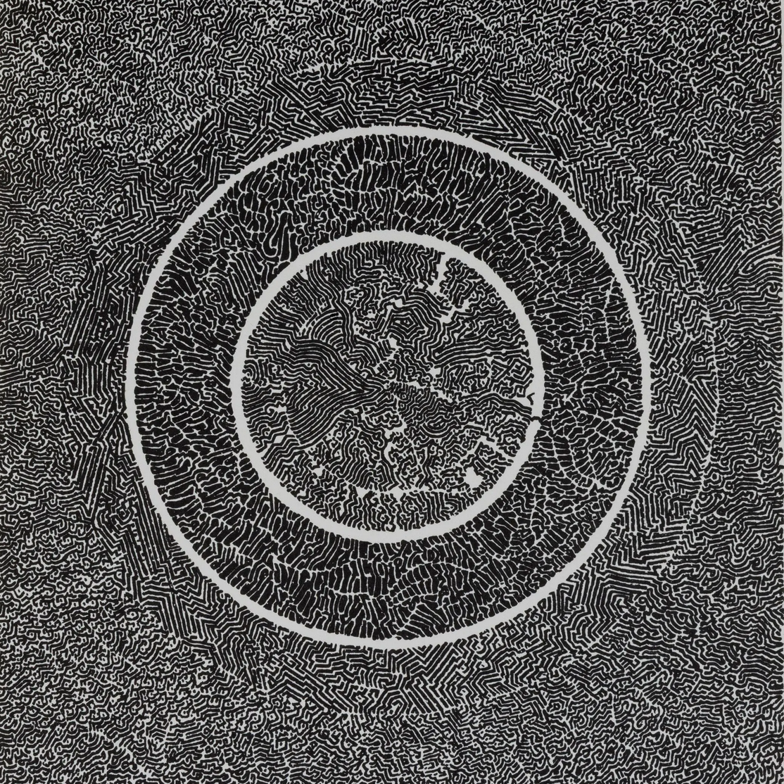 intricate arrangement of black lines with larger negative space forming concentric rings