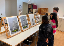 photo of students from behind, looking at photographs on easels in a workspace