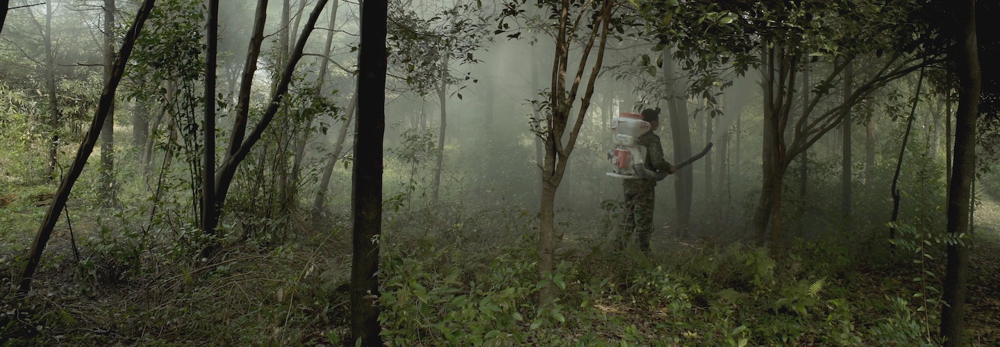 A figure stands in a forest using a fumigator to spread mist.