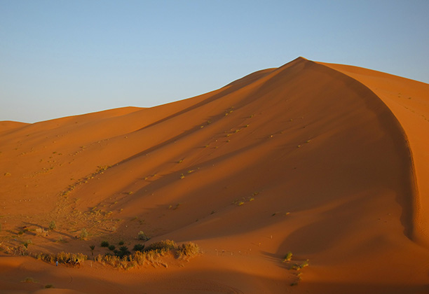 Erg Chebbi dunes. Photograph by Cynthia Becker, 2010