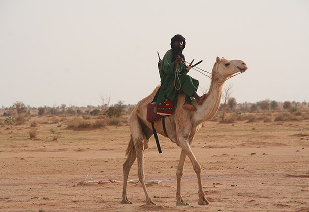A man rides his camel to market in the Agadez region of central Niger