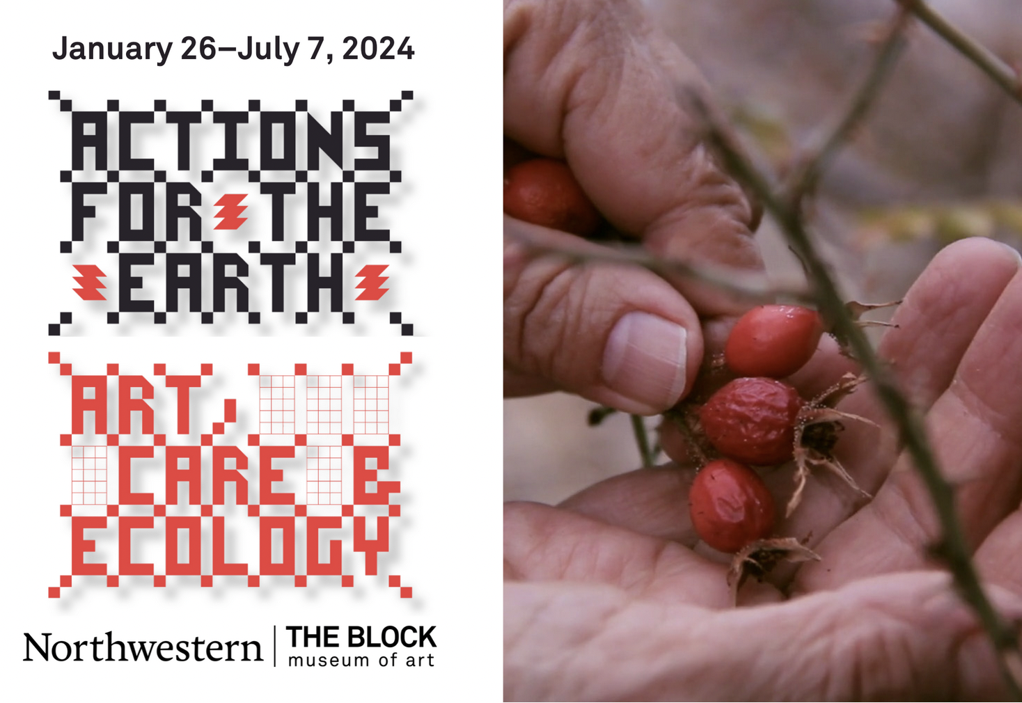 on left, text on white background says "Actions for the Earth: Art, Care & Ecology Northwestern The Block Museum of Art;" on right, close up of hands holding red berries 