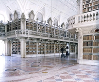 bookshelves line the walls of a high-ceilinged room with arched roof